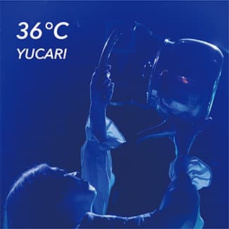 「36℃」のCDジャケット写真
